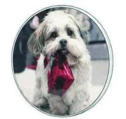 Circular photo insert of a dog for a Christmas bauble